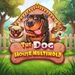 The Dog House Multihold game at Villento Casino for Canada players